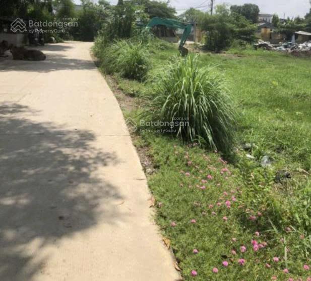 Bán nhanh lô đất 352 m2, xã vĩnh lộc b, huyện bình chánh, mt ngang khoảng 6m, dài 60m, giá 22tr/m2