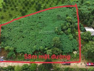 Chủ gửi bán 2900m2 phẳng, đẹp nằm trong khu vực như cao nguyên mộc châu