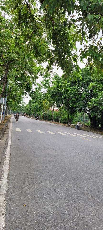 Bác tôi cần bán gấp nhà ngọc hồi
