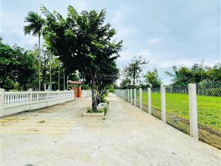 Sẵn lô nhà vườn 186m2, điện hồng  điện bàn | giá chỉ 760 triệu