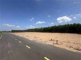 13 nền đất (5x30m, 80tc). cách hồ tràm 15 phút , tiềm năng đầu tư tốt.