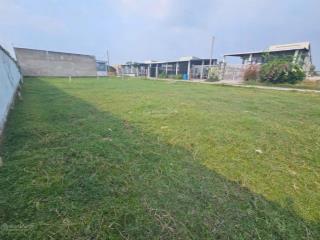 Hàng hiếm 1 lô 100m2 tại cần giuộc, long an, đất full thổ, shr, xdtd
