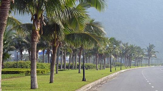 Lô góc 2 mặt tiền! bán đất 1145m2 341,3 tỷ mt hoàng sa q. sơn trà