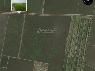 Bán đất 14.646,2 m2 giá 10 tỷ 790 triệu tại phường châu đốc, an giang