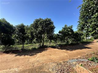 Chỉ 2 tr/m2 sở hữu lô đất 1190m2 mặt tiền 20 mét, trung tâm xã đông thanh