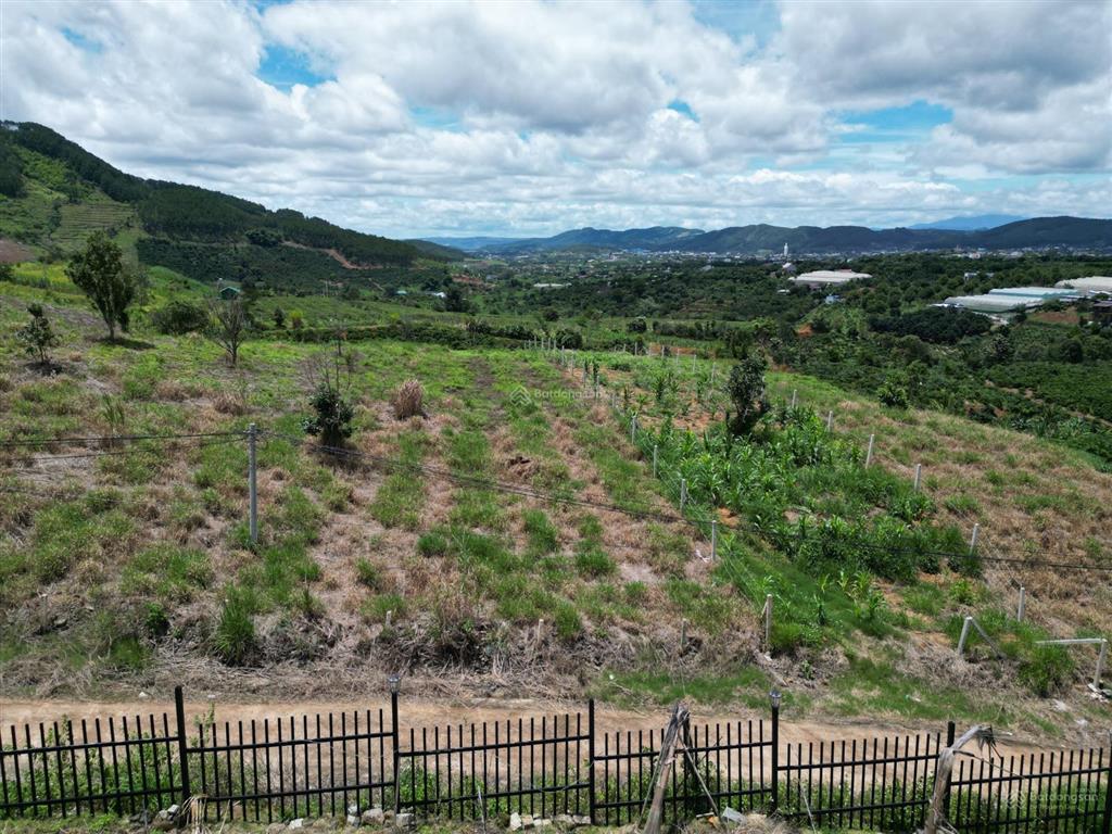 Đất xã đông thanh, lâm hà, 40 mét mặt đường bê tông, 400m2 thổ cư, tách được 5 mét 8 sổ