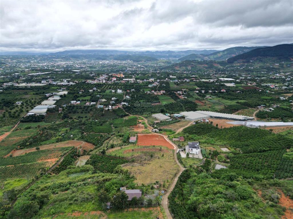 Đất xã đông thanh, lâm hà, 40 mét mặt đường bê tông, 400m2 thổ cư, tách được 5 mét 8 sổ