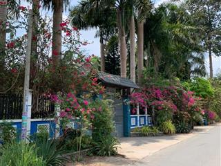 Chính chủ cần tiền bán nhanh miếng đất ở thị trấn củ chi, tiện ích đầy đủ, giá tốt tl thêm