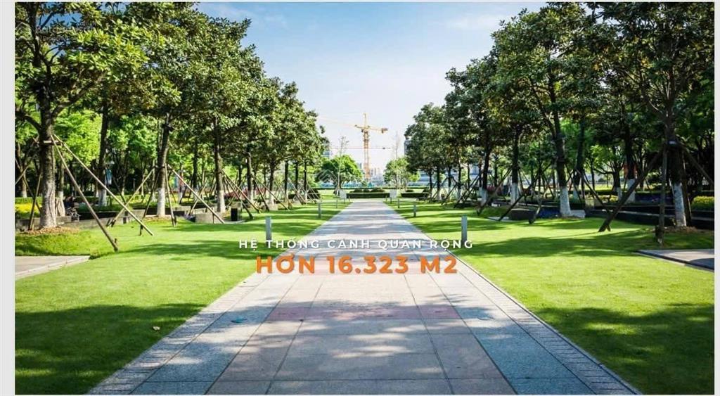 Sở hữu căn 1pn ngay căn hộ ven sông hàn, tại dự án capital square
