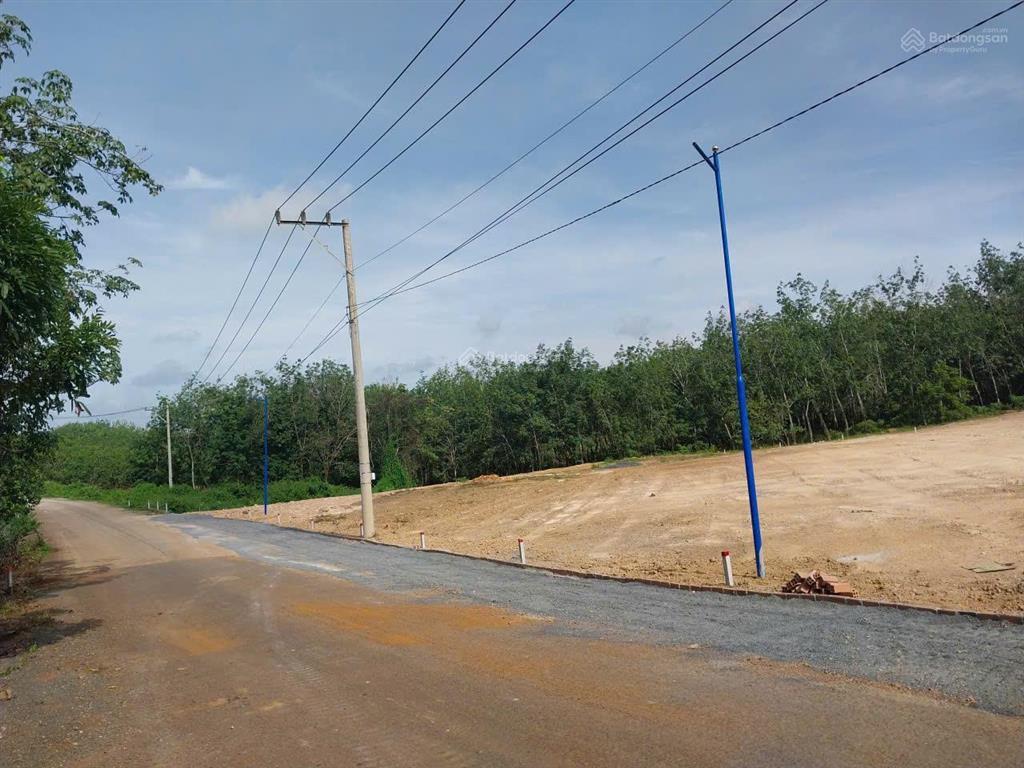 Đất nền mặt tiền long hà phú riềng