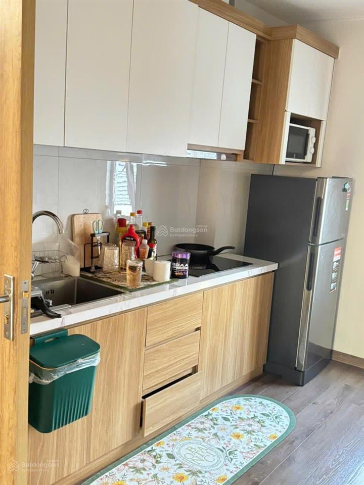 Cho thuê cc mini nguyễn thị thập, 8,5 triệu, 45m2, 1pn, 1wc, full nội thất, gấp!