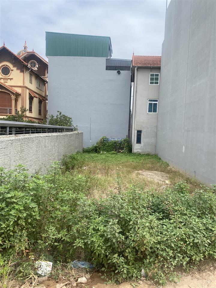 Đất đẹp trong đê tổ 12 , mặt tiền 4,3m , cách ô tô tránh 90m giá nhỉnh 6ty