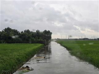 Bán đất đẹp, vuông vức, vĩnh thanh, nhơn trạch, đồng nai, 8,3 triệu / m2, 1405 m2