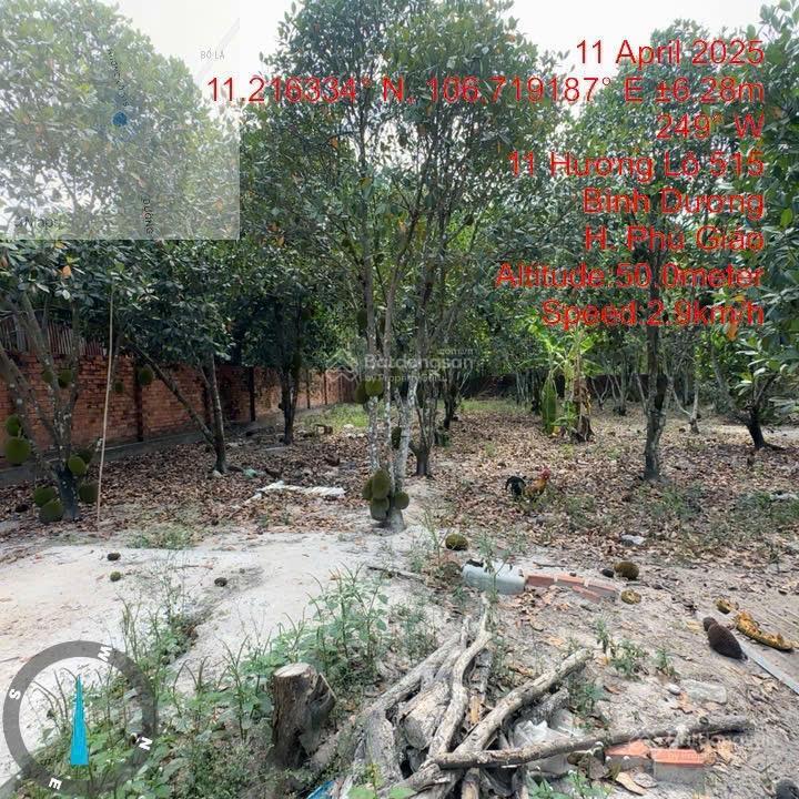 Bán đất có nhà mặt tiền dh515, phước hoà, phú giáo, tp. hcm