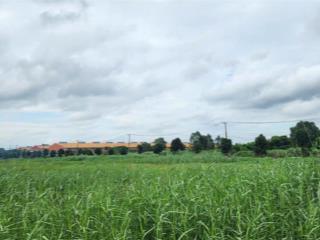 Bán 40.000m2 đất trong kcn hiệp phước (dành cho ngành khai thác kho vận), pháp lý chuẩn, giá tốt