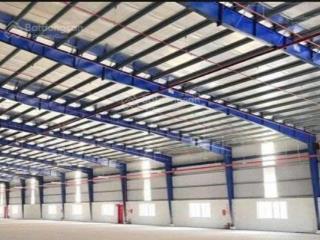Cho thuê kho xưởng tại bình chánh hcm đường cont 24/24 pccc thẩm duyệt khuôn viên rộng