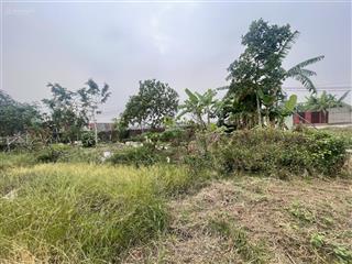 720 triệu sở hữu 360m² đất cạnh vin cổ loa  hiếm!