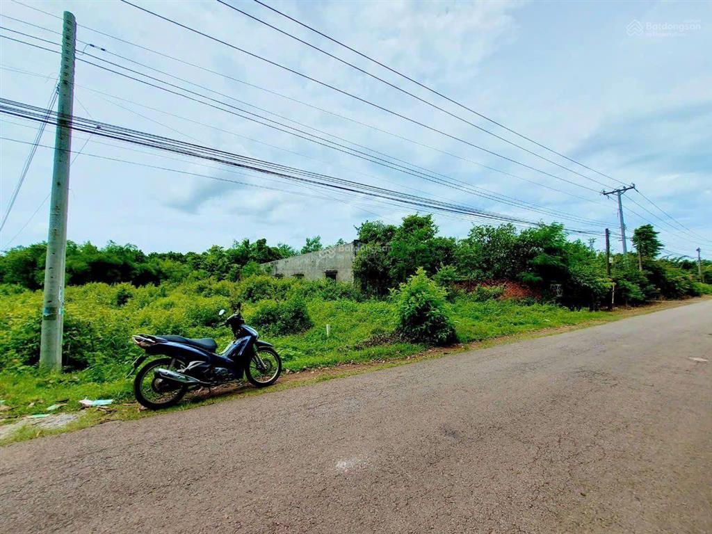 Bán đất xuân thọ, xuân lộc. mặt tiền nhựa chính. dt 6 x 52m
