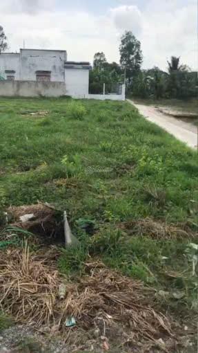 Lộ diện lô đất vàng tại tân trung, gò công, tiền giang, 590 triệu/100m2 0365 803 ***