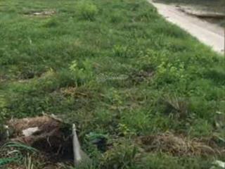 Lộ diện lô đất vàng tại tân trung, gò công, tiền giang, 590 triệu/100m2  0365 803 ***