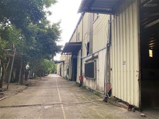 Cho thuê gấp kho 500m2  1000m2 đến 5000m2 tại phú thị, gia lâm, hà nội