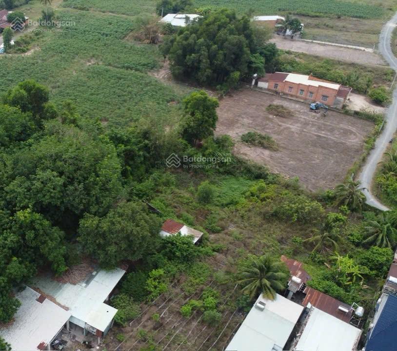 Siêu phẩm giá rẻ chỉ 499 triệu, vị trí ấp phước hòa, xã phước thạnh, gò dầu, tây ninh