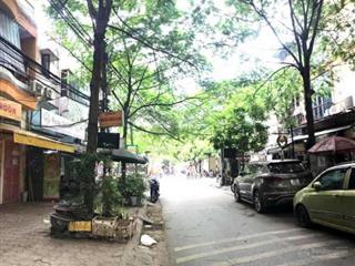 Nhà phố tạ quang bửu diện tích 75m2 vị trí cực đẹp 3 tầng mt 5.5m giá giảm chào 13.x tỷ