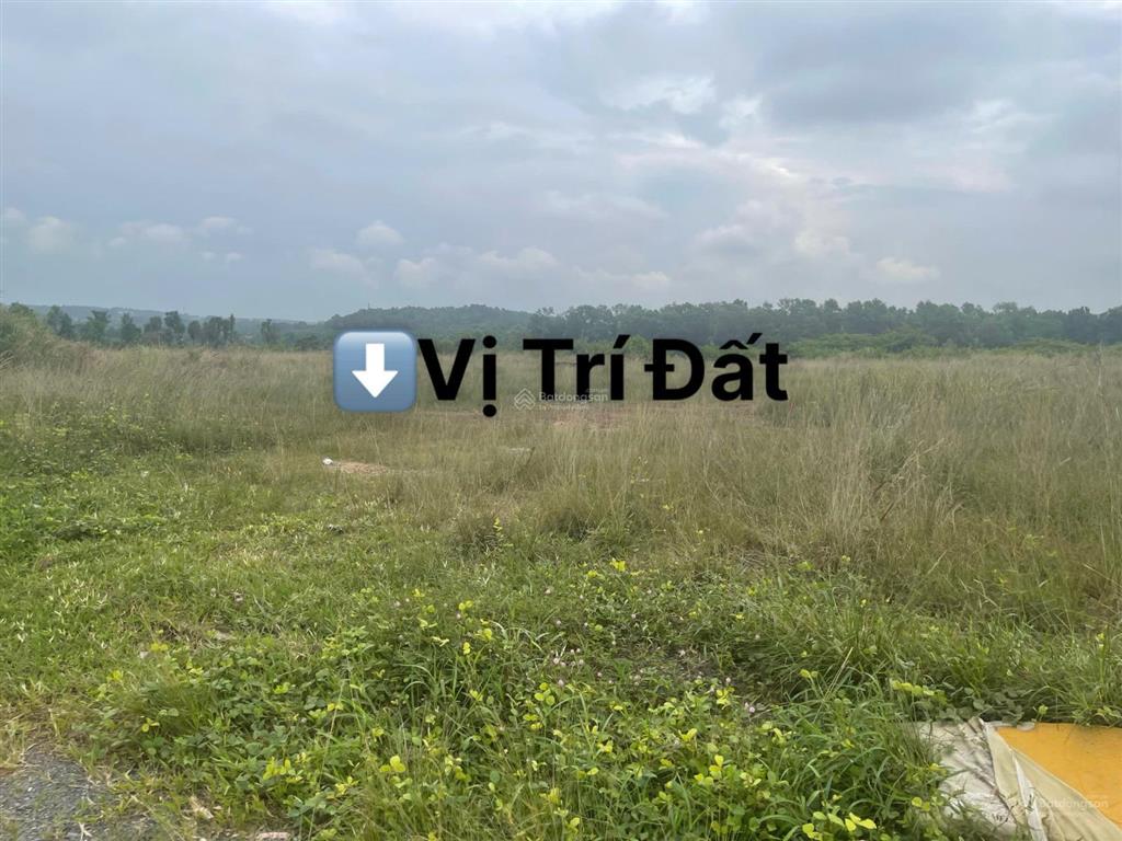 Đất nền biệt thự, mặt tiền đường 60m cách sân bay long thành 15p đi xe, full thổ cư, chỉ từ 11tr/m2