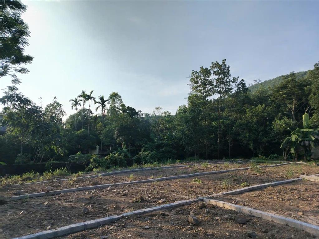 Bán đất tại trung tâm tt chi nê, lạc thủy, ô tô tránh, dt từ 150 m2, giá ưu đãi từ 2,5 triệu/m²