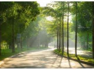 Bán căn liền kề 1c ecopark  0904 551 ***  rẻ nhát thị trường