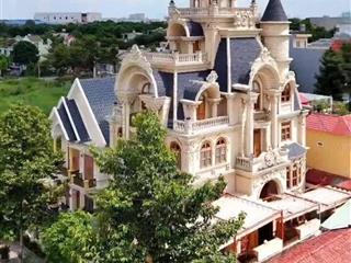 Bán biệt thự bcosi, phường tân bình, tp dĩ an  tphcm biệt thự thiết kế theo phong cách