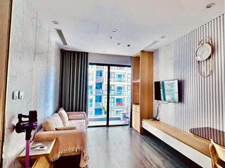 Cho thuê căn hộ cao cấp 49m² tòa tonkin 2, vinhomes smart city, có bể bơi, bể sục 4 mùa, gym