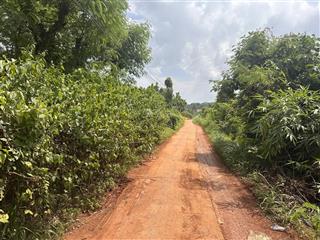 Bán đất tại đường 13, bình long, bình phước, 385 triệu, 210 m2, chính chủ