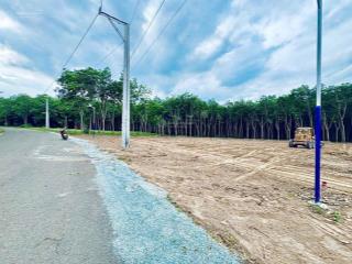 Đất nền 300m2 tại quốc lộ 14, chơn thành, bình phước, giá 400 triệu