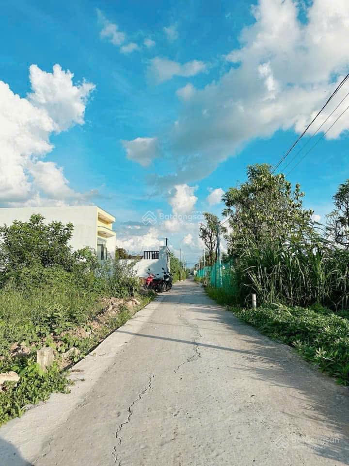 Ngã 3 tân lân, 1 lô 5x25 chỉ 592tr, shr sẵn, 1 xẹt ql50, cách cổng chào cần đước 900m.