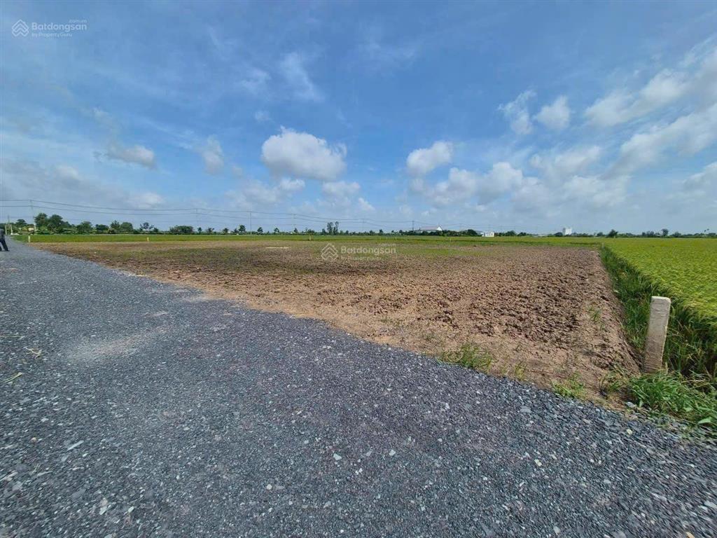 Bán đất tại đt 872b, bình tân, gò công tây, tiền giang, 390 triệu, 309.7 m2