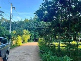 Bán đất tại dh507, an linh, phú giáo, bình dương, 320 triệu, 200m2