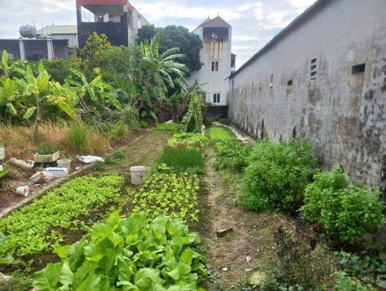  RẺ NHẤT KV BÁN 115M2 FULL THỔ CƯ 100% TẠI XÃ TIỀN PHONG, HUYỆN MÊ LINH, TP HÀ NỘI