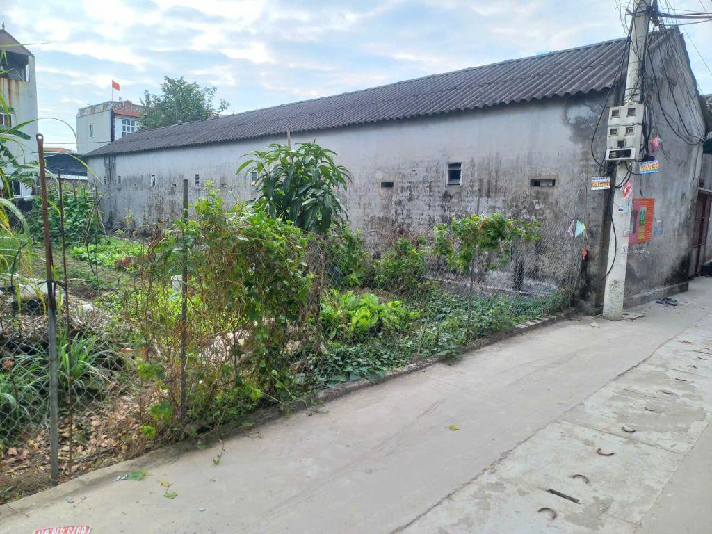  RẺ NHẤT KV BÁN 115M2 FULL THỔ CƯ 100% TẠI XÃ TIỀN PHONG, HUYỆN MÊ LINH, TP HÀ NỘI