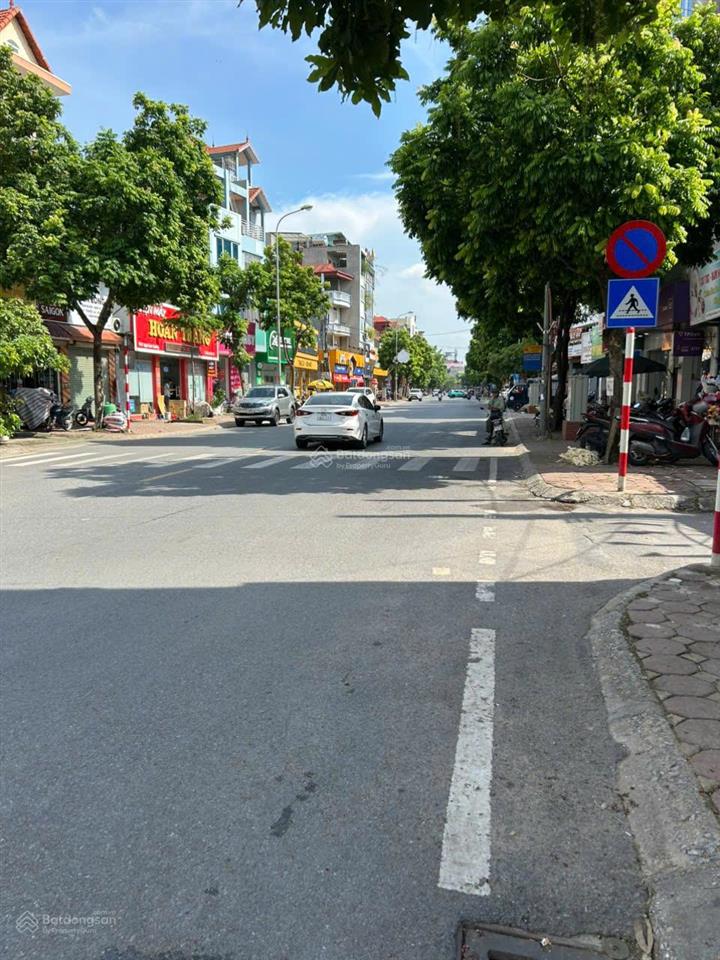 Đất hiếm ngô xuân quảng trâu quỳ, ô tô đỗ cửa giá nhỉnh 4 tỷ