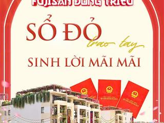 Bán liền kề nhà phố 5 tầng 87m trung tâm phường mạo khê  đông triều  quảng ninh giá 3,3 tỷ.