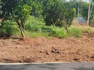 Chính chủ cần bán gấp lô đất đối diện ca xã an ninh ! diện tích 5x53x100 (266m2) gía 450trieu