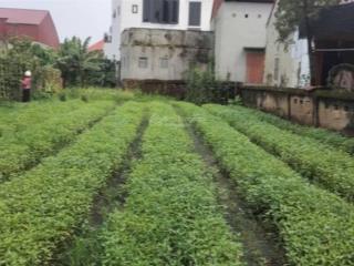 Bán đất văn giang  hưng yên. mảnh đất vuông đẹp