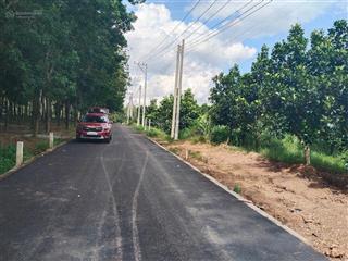Chính chủ cần bán gấp lô đất đối diện công an xã an linh diện tích 266m2 ( có sẵn 100m2 thổ cư)
