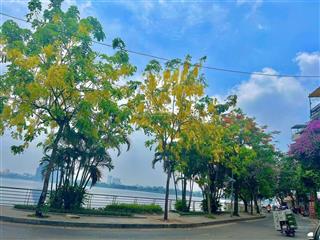 Biệt thự sân vườn  lạc long quân, 150m2, mt 7,5m, 4 tầng, cách hồ tây 100m, khu tư lệnh cảnh vệ