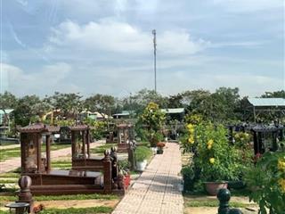 Cần sang nhượng mộ đơn  khu thiết mộc lan  phúc an viên