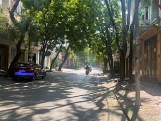 Bán biệt thự 155m2 5 tầng kđt văn quán, hà đông  kinh doanh và ở hiện đại 45,9 tỷ