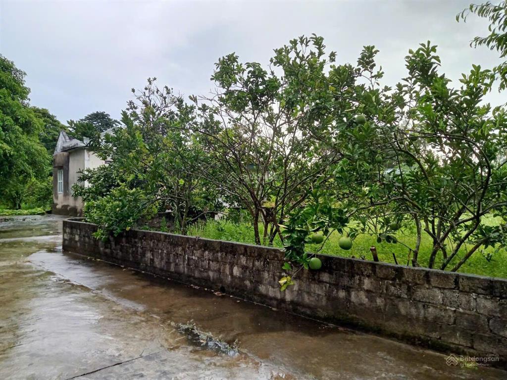 Cần tiền bán gấp lô đất xã quảng lợi huyện quảng xương