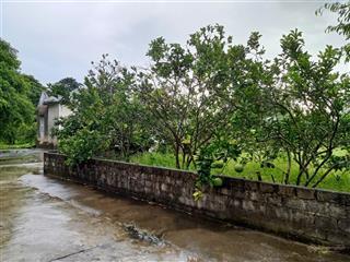 Cần tiền bán gấp lô đất xã quảng lợi huyện quảng xương