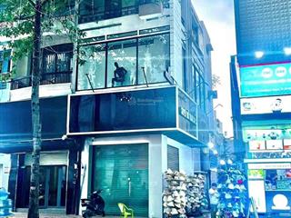 Cho thuê mặt bằng nguyễn trãi, quận 5 khu buôn bán sầm uất nhất khu vực sài gòn. giá 6,22 tỷ/ 55m2